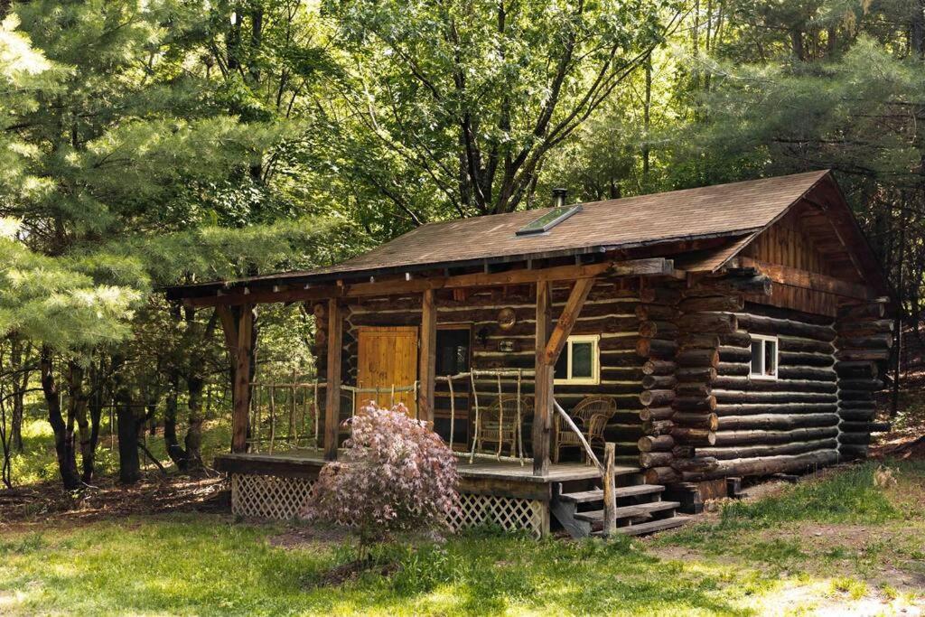 Rustic Ridge Βίλα Penn Yan Εξωτερικό φωτογραφία