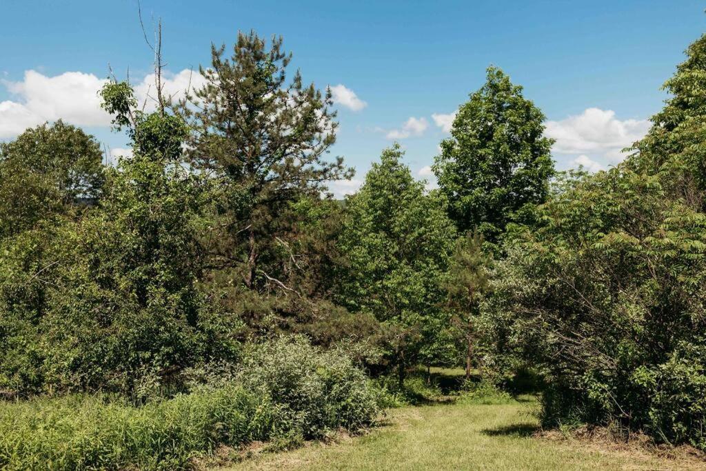 Rustic Ridge Βίλα Penn Yan Εξωτερικό φωτογραφία